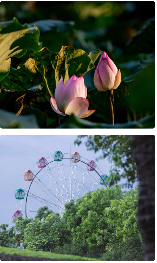 1693810309124.png 1693810309124.png